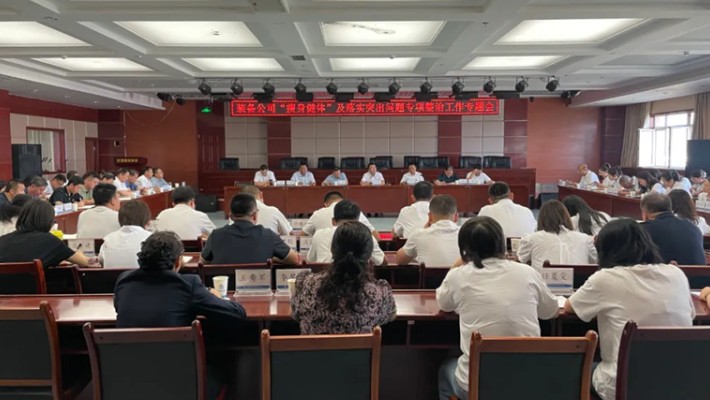 裝備公司召開瘦身健體暨落實(shí)突出問題專項(xiàng)整治工作專題會(huì)